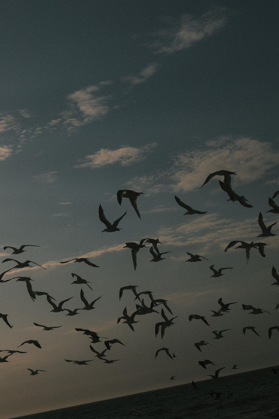 La jaula siempre estuvo abierta. Foto: Rafo Iparraguirre.