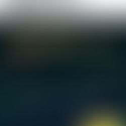  【股市策略回顧】仲記得呢個Post嗎？🥂 
