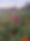 Resized_Resized_20240929_185957_1727716233014_1727716362855.jpeg