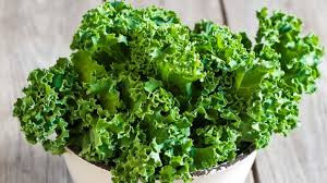 I ❤ Kale!