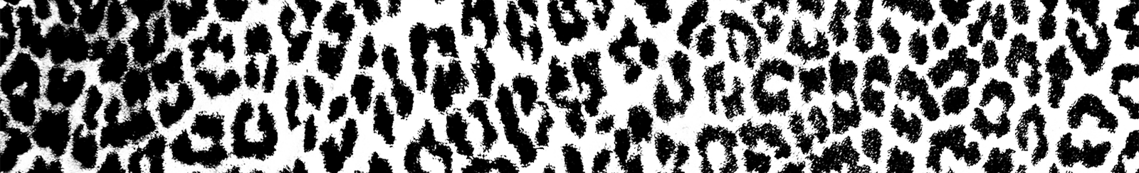 Jungle Boogie Cambridge