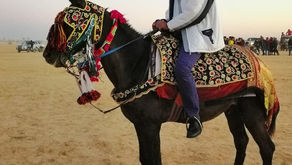 بأي واجهة سنبني مجتمعا تعدّديا؟