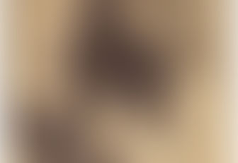 الموروث الحضاري بجهة سليانة: بين عبث المعهد الوطني للتراث وصمت الوزارة