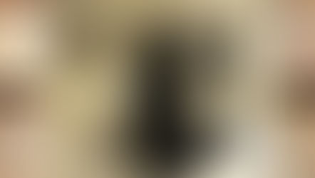 انتخاب زعيم الثوار الديموقراطي جداااااااا في بلاد حميرستان العربية الشعبيّة