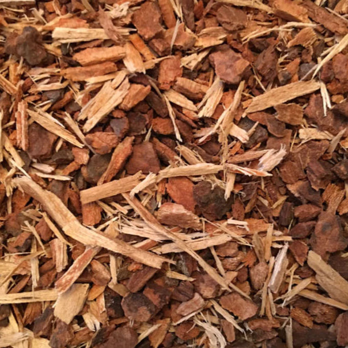 Thumbnail: Herbal Tinctures