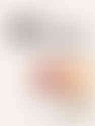 Pale terracotta branding color palette featuring terracotta red, amber orange, soft stone grey, and warm taupe for modern brand identity inspiration.