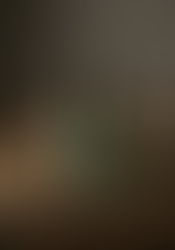 Single green glass fragrance bottle from The Conservatory styled with moss, dried leaves, and wood on a rustic surface, emphasizing natural materials and intentional fragrance packaging design.