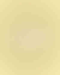 Sunbase logo printed on textured card over soft yellow background, minimalist skincare brand identity and typography design