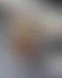 Oscar café social graphic overlay featuring dachshund mascot, playful “coffee & paws” typography, and illustrated icons placed over lifestyle image of dog being served a drink outdoors.