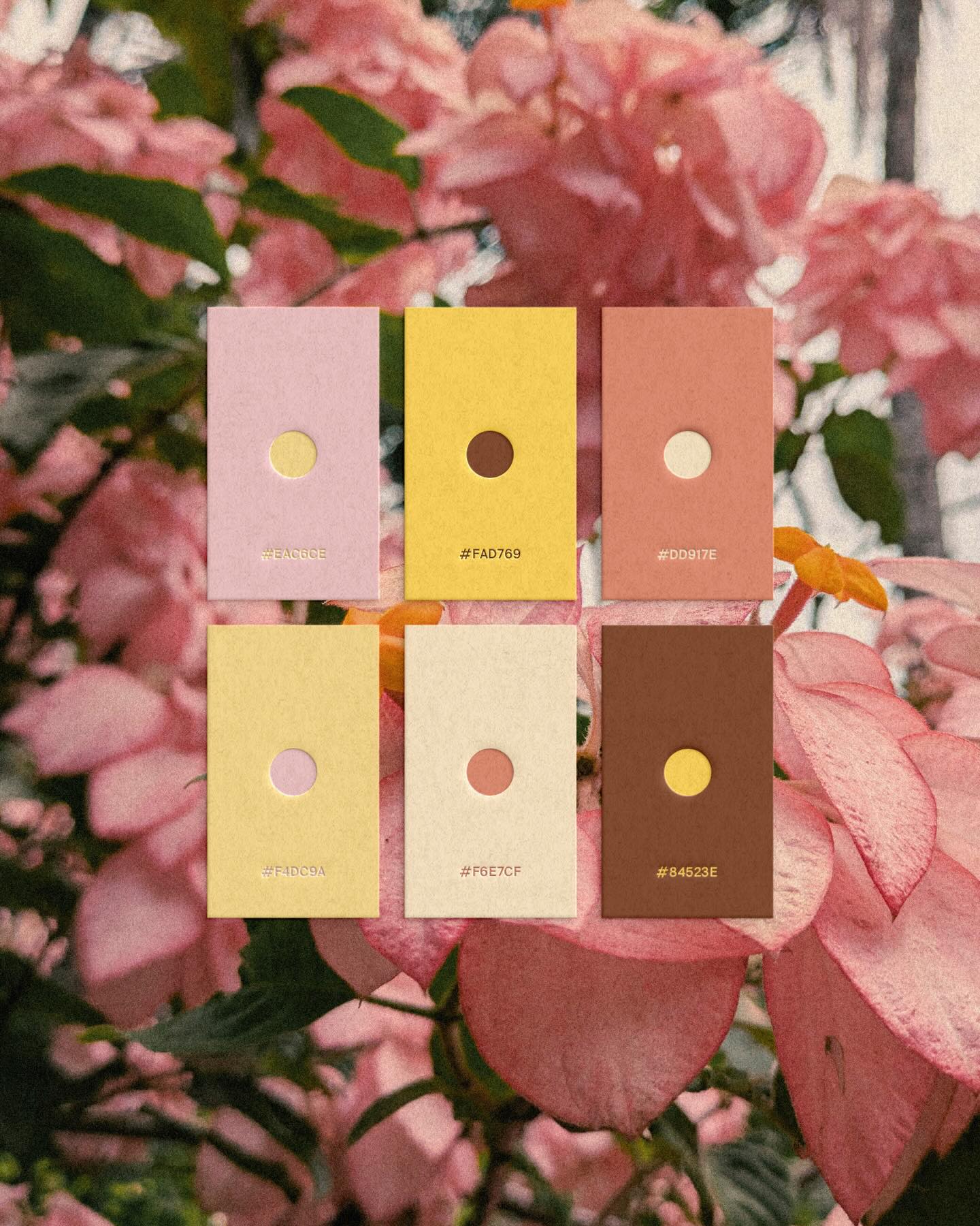 Afterglow, Together, and Rhythm Color Series