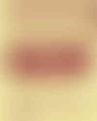 Oscar Coffee Shop typographic poster design featuring oversized rounded red logotype, striped graphic border, dachshund illustration, and tagline “where coffee meets paws, le café pet friendly.”