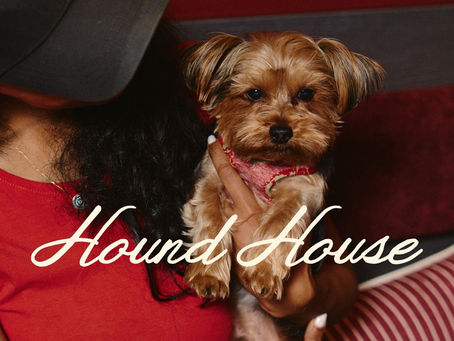 Small dog being held in a lounge-style café setting with the Hound House script logo overlay, representing a pet hospitality brand identity for a dog daycare and café.