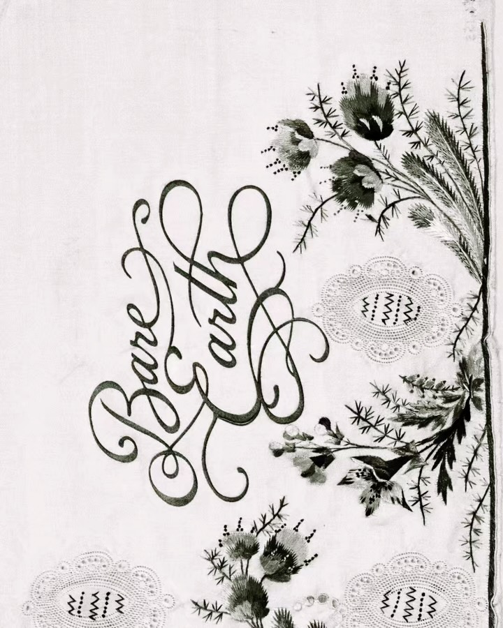 Bare Earth botanical brand identity featuring translucent botanical specimen imagery with calligraphy logo and natural skincare branding inspired by mineral clay, moss, and pine resin.