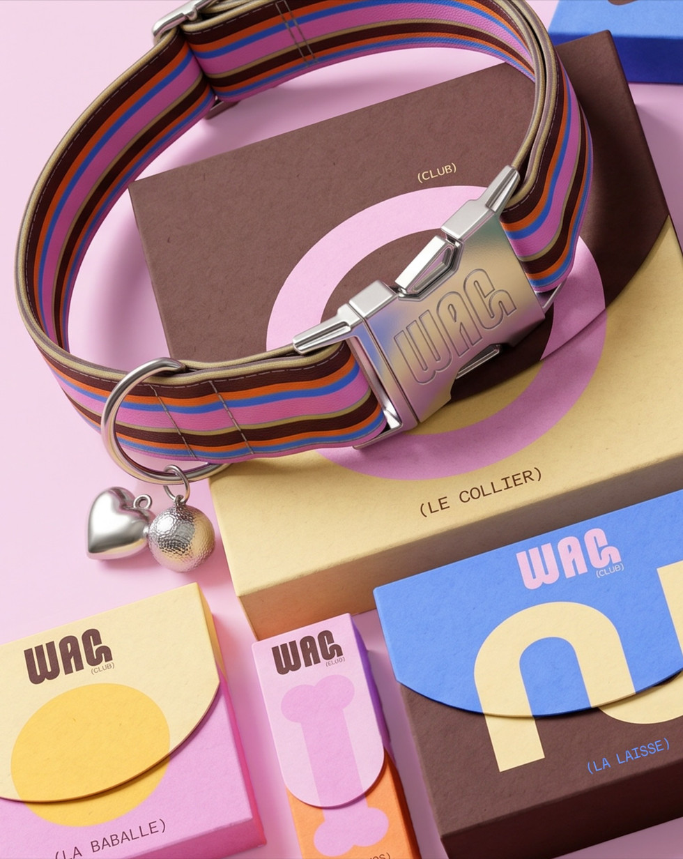 Striped WAG Club dog collar with silver buckle and charms displayed over colorful geometric packaging.