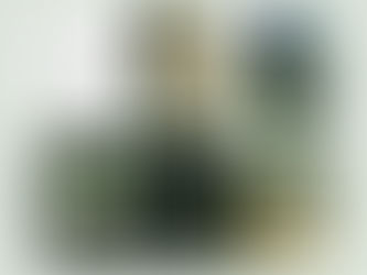 Bare Earth botanical skincare brand identity with logo design, natural cosmetic packaging, botanical imagery, and editorial brand visuals presented in a six panel brand system grid