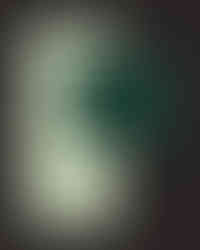 Evergreen Café menu and drinks card design by Allo (Physm), pairing soft sage and deep green tones with organic line illustrations for a refined minimalist café brand identity.