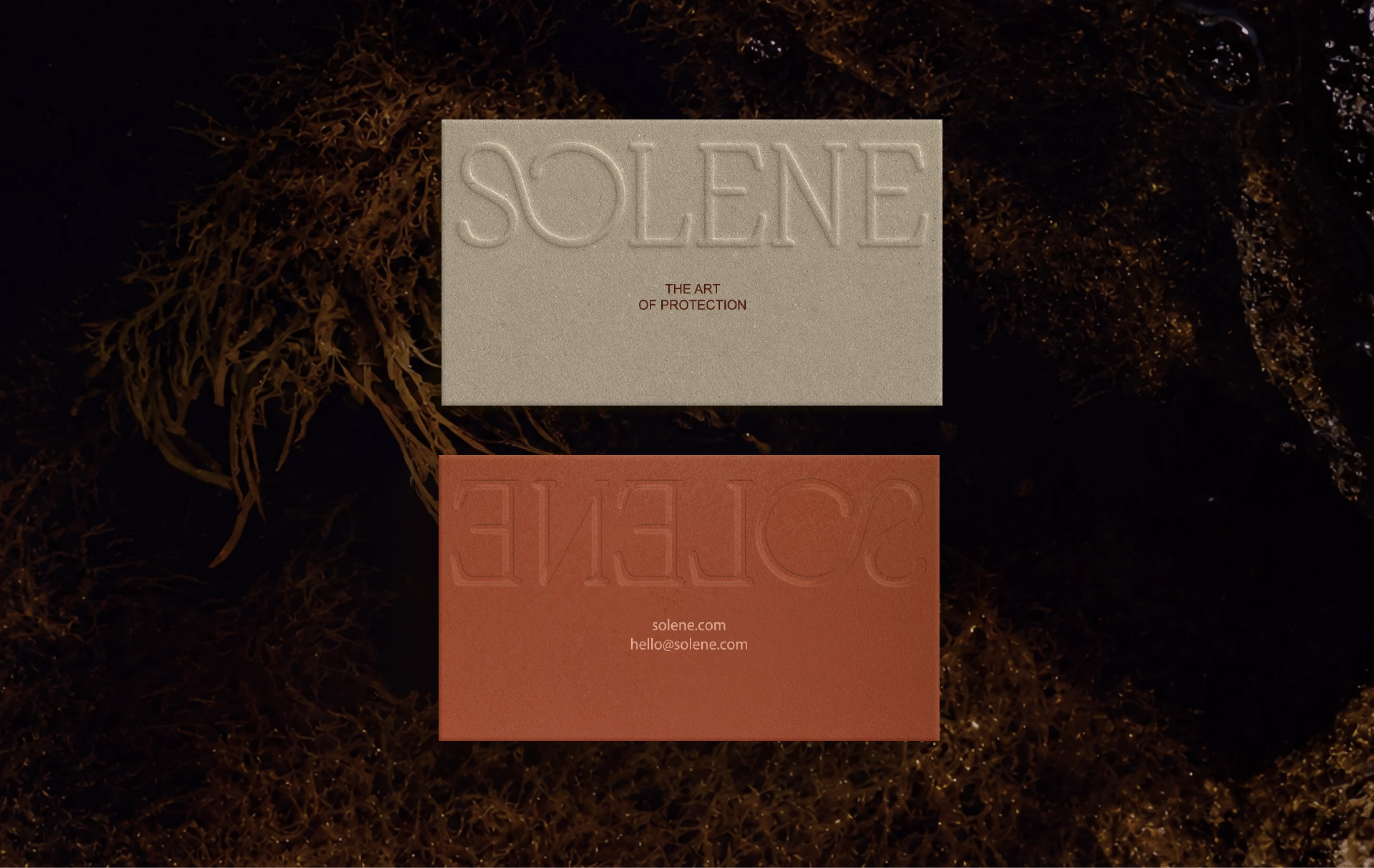 Solene SPF business card design with ivory and clay paper stocks, blind debossed logo details, and minimal contact information on a dark organic background.