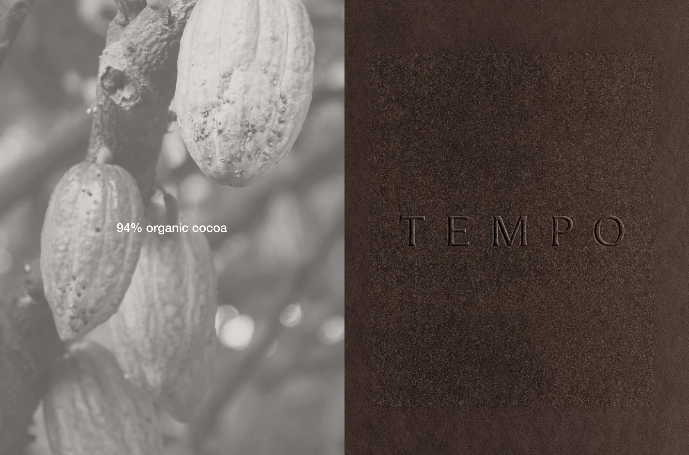 TEMPO brand identity detail by LYM Design Studio showing a grayscale cacao pod image beside a dark brown embossed chocolate packaging surface with subtle logo typography.