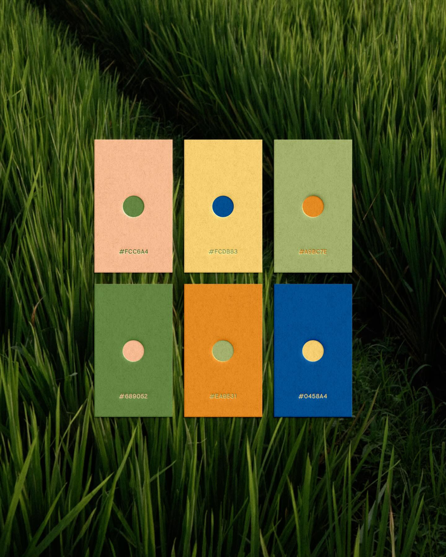 Afterglow, Together, and Rhythm Color Series