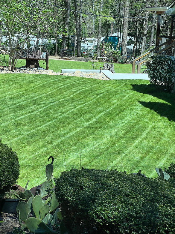 A freshly mowed lawn by Andrade Yard Services
