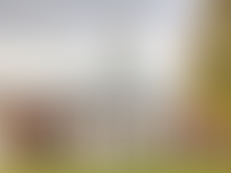 Will Universities Survive AI?