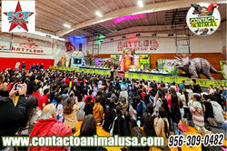 starr county fair 2024 4