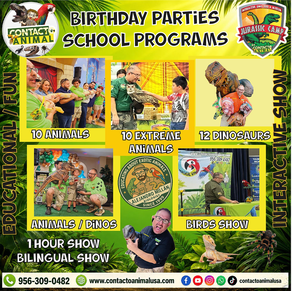 birthday shows 2025
