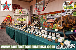 starr county fair 2024