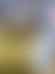 How to bring Black History Month with you all year long