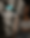 BundlesByMonet Flyers-4.png