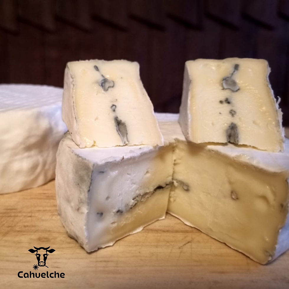 Bleu Neige Cahuelche