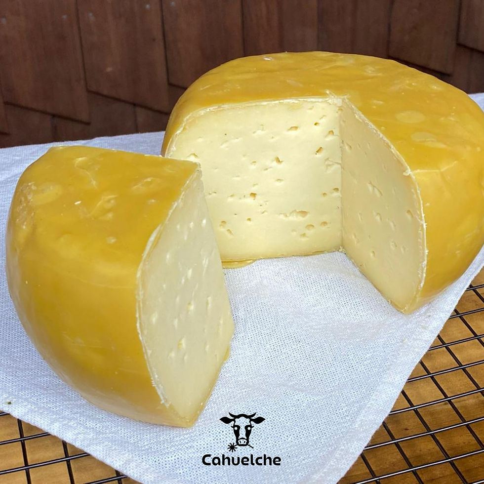 Havarti Cahuelche