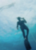 Freediving Course Line.jpg