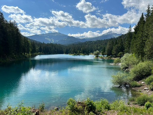 Escaping Zürich: Forests, Lakes, and the Calm Swiss Countryside