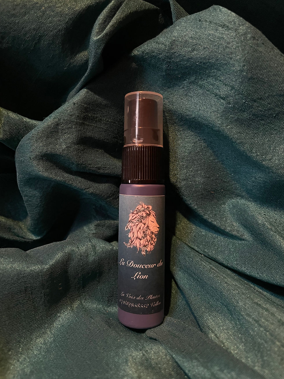 La Douceur du Lion