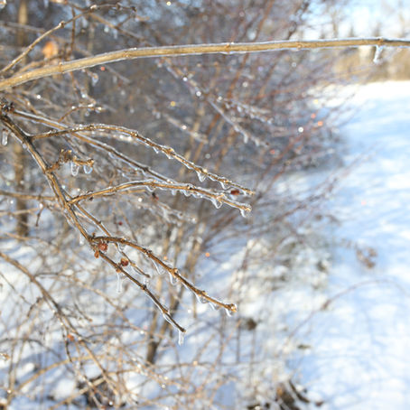 Ice Storm