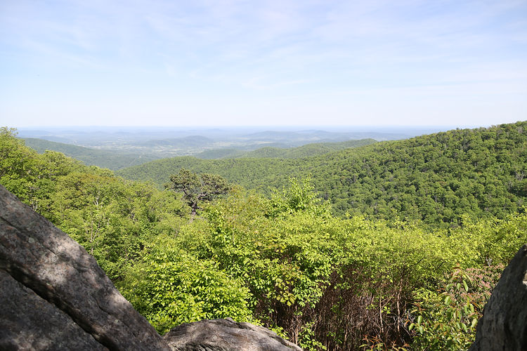 Shenandoah National Park (24).JPG