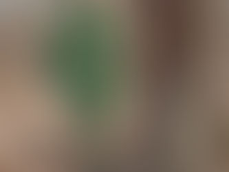 Exploring in the woods