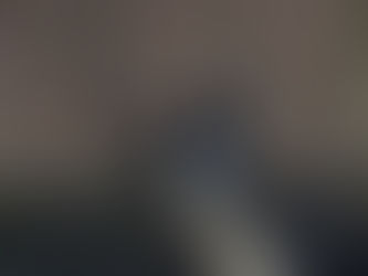 Holstein Homestead --> Playing near the creek