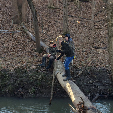 Holstein Homestead --> Playing near the creek