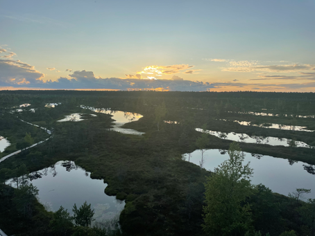 ¿Por qué es vital aprender a pensar, hablar, sentir y actuar de manera coherente?