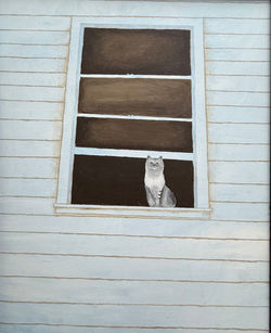 Zoey in the Window