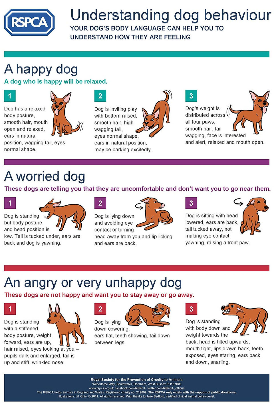 Dog body language