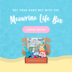 meowbox_meowrine_life_box_fb_ads_carousel_1080x1080_6.png