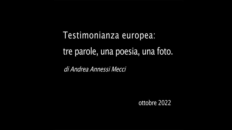 Testimonianza europea di Andrea Annessi Mecci