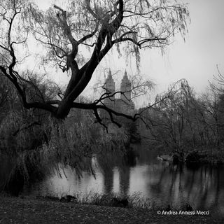 Central Park - New York City