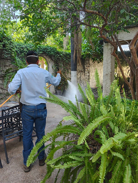 fumigación de jardín.jpg