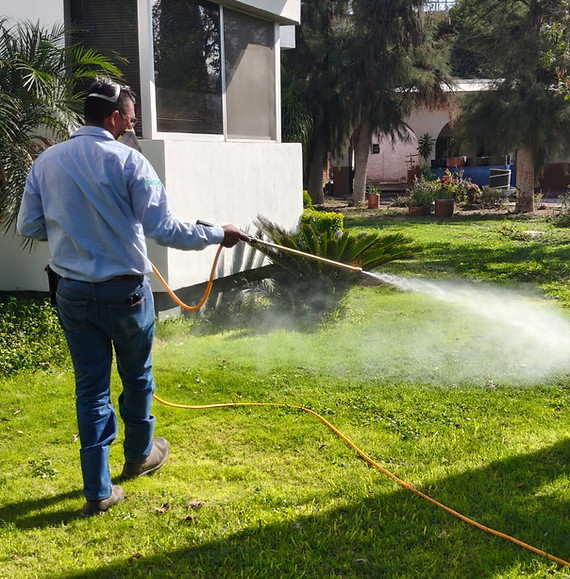 fumigación de parque.jpg