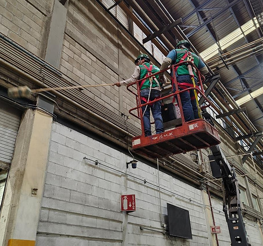 Limpieza y desinfección de telarañas en instalación industrial - INOLAG Comarca Lagunera