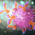 Immune System Surveillance